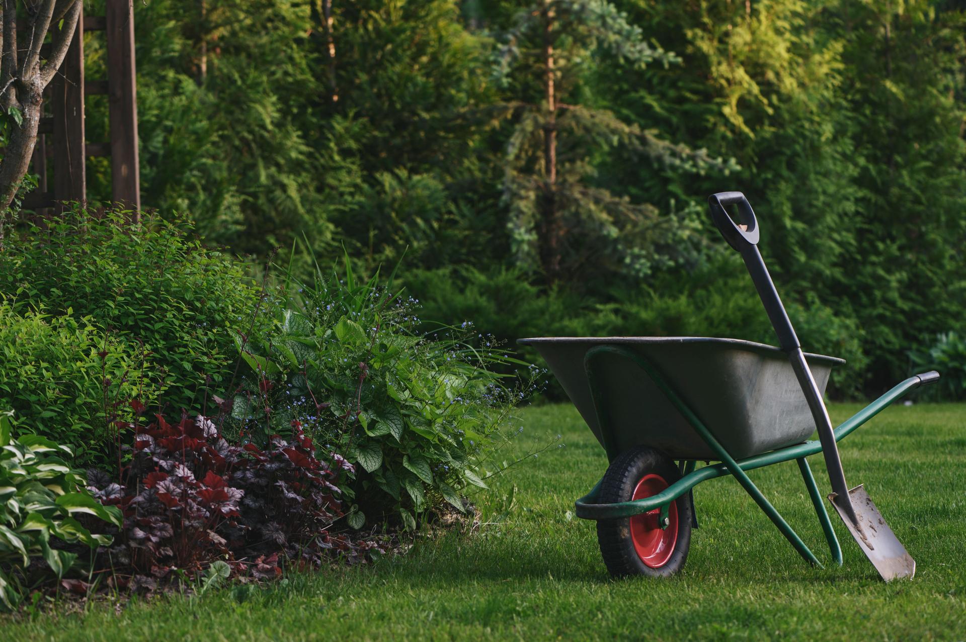 wheelbarrow in summer day in beautiful natural country garden. Dacha life, seasonal work