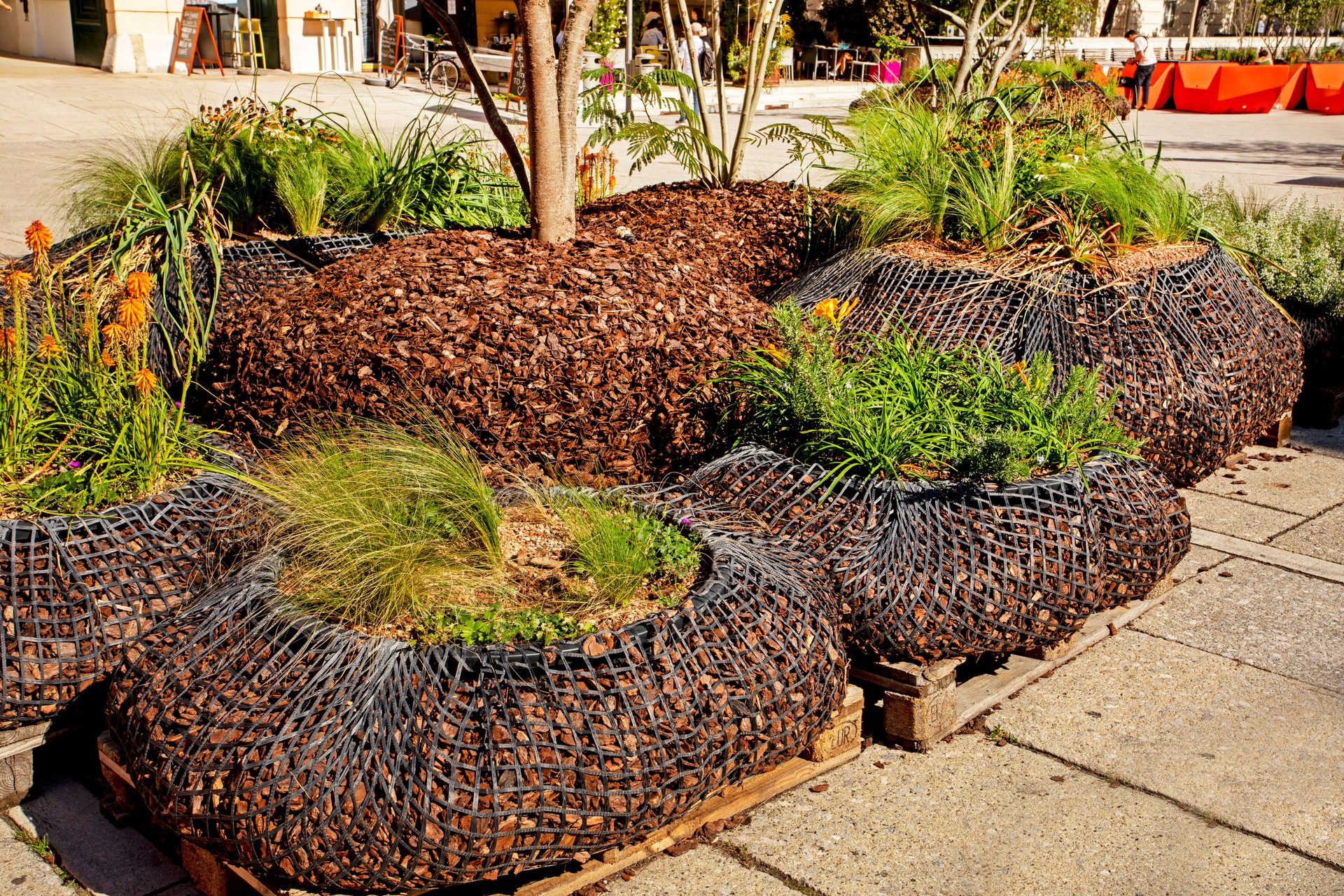 landscape design on the streets in the city from living plants. Gardening